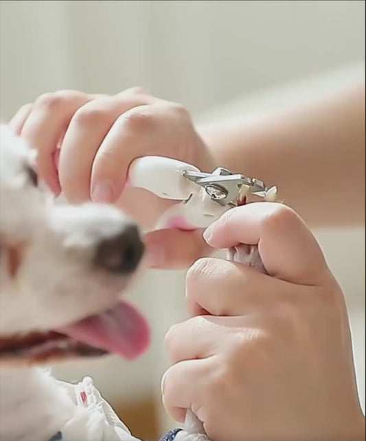🐾 Zuvira™ Quiet Pet Nail Grinder